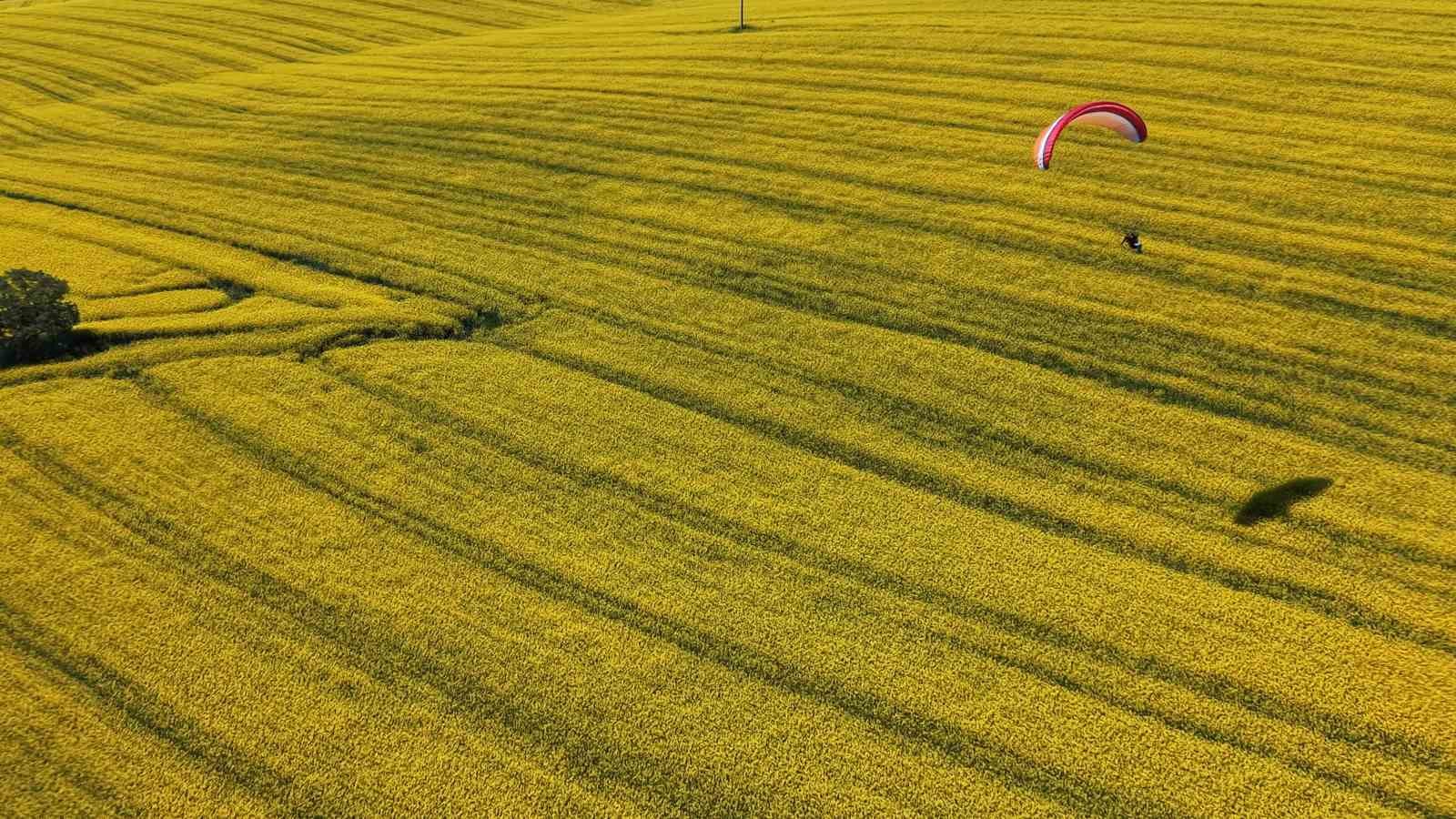 tekirdagda sari solen paramotorlar sari tarlalari gezdi 3 S3MIAsKu