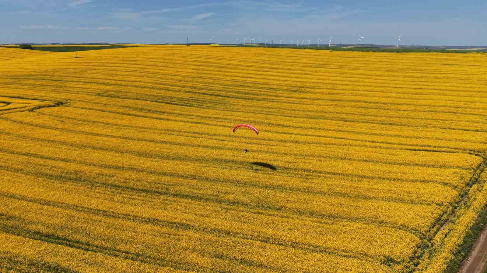 tekirdagda sari solen paramotorlar sari tarlalari gezdi 4 C2yMwqVk