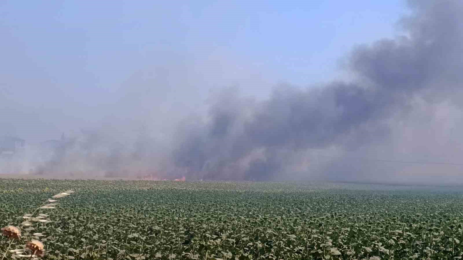tekirdagda tarim arazisinde baslayan yangin alevler 4 farkli noktaya sicradi 3 spYfdpUz