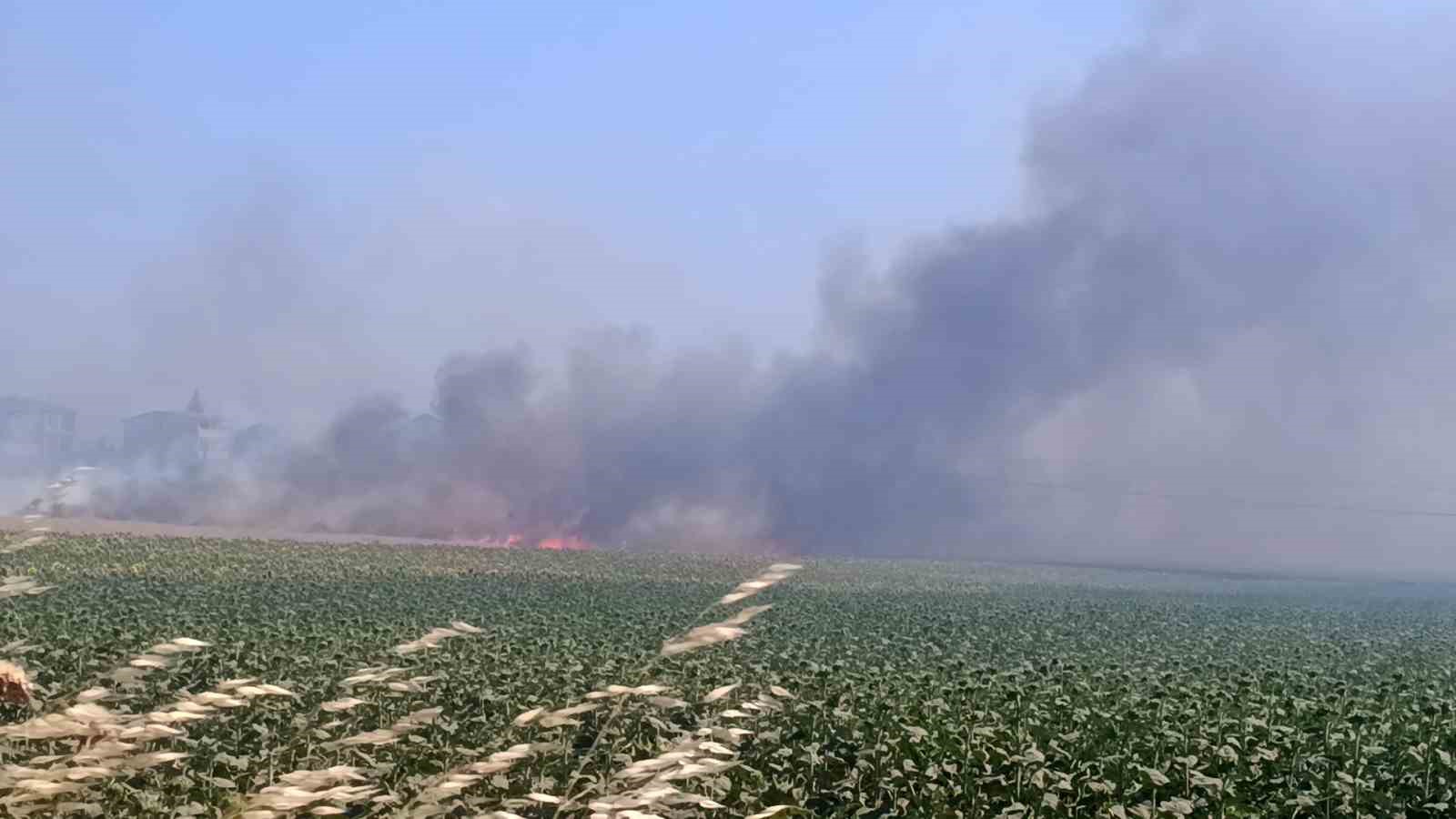 tekirdagda tarim arazisinde baslayan yangin alevler 4 farkli noktaya sicradi 5