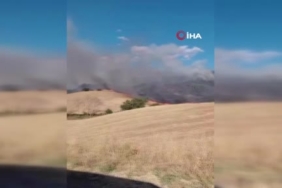 Erzurum’da kar yağışı durdu, çilesi devam ediyor 1 thumbnail
