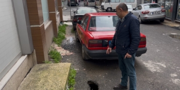 tekirdagin-corlu-ilcesinde-sokakta-fareler-cirit-atiyor-jTnPOQrD.jpg