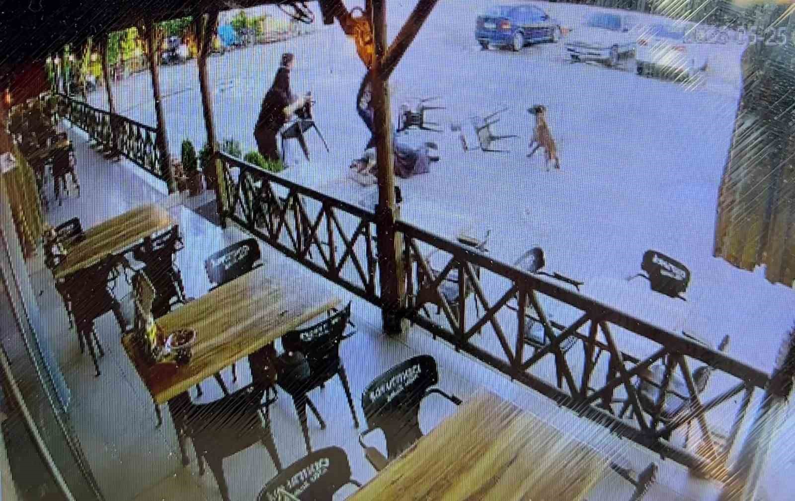 Tekmelere aldırmayan köpek kadının kolunu kopardı 6 tekmelere aldirmayan kopek kadinin kolunu kopardi 2 GPekqdqS