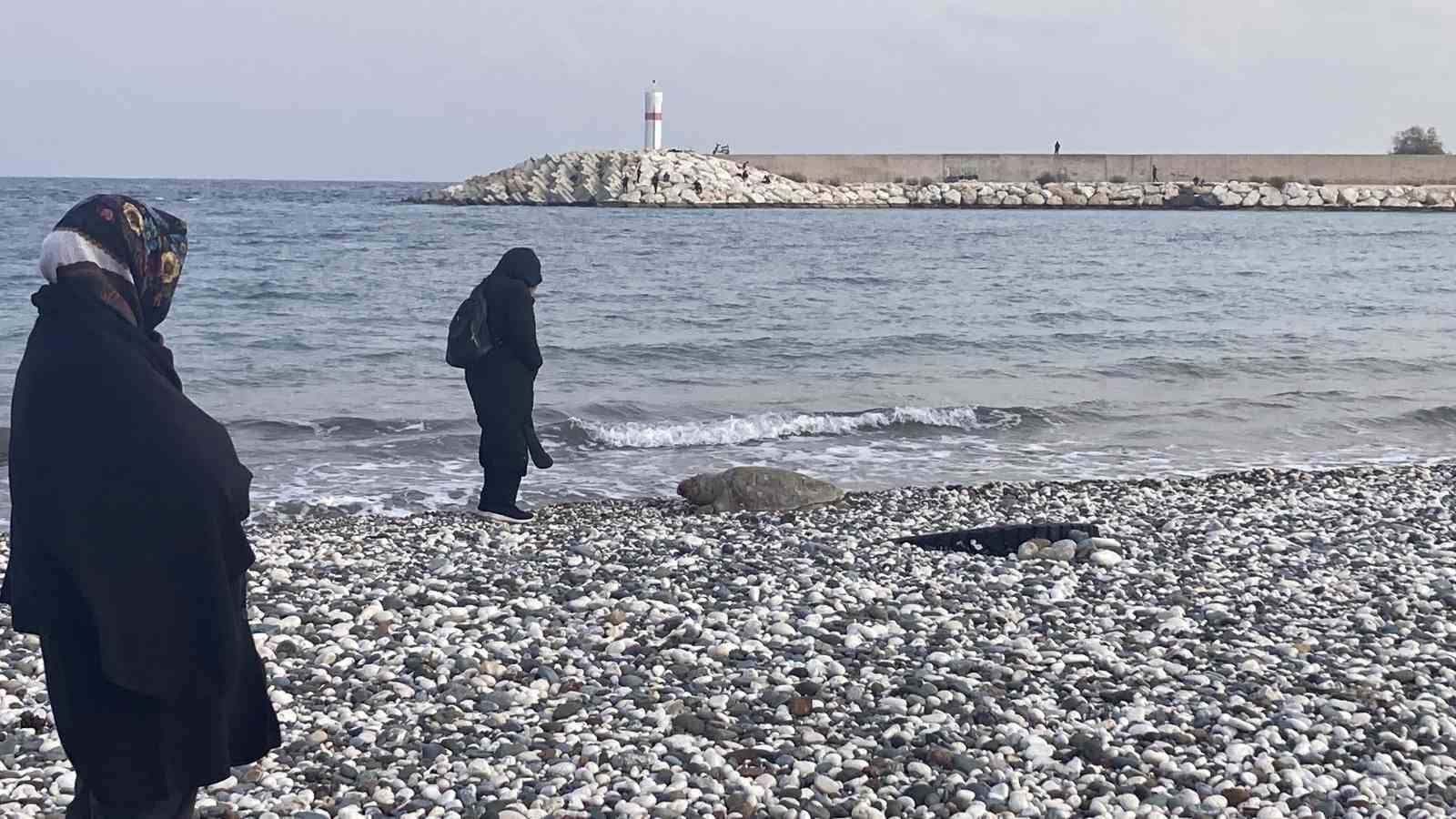 telef olan caretta caretta halk plajina vurdu 0
