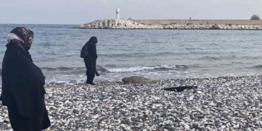 telef-olan-caretta-caretta-halk-plajina-vurdu-Ss5WpcyL.jpg