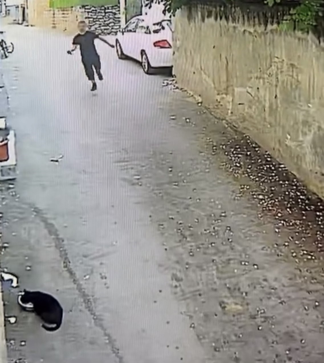 Telefonu çaldı, tazı gibi koştu: O anlar kamerada 4 telefonu caldi tazi gibi kostu o anlar kamerada 0