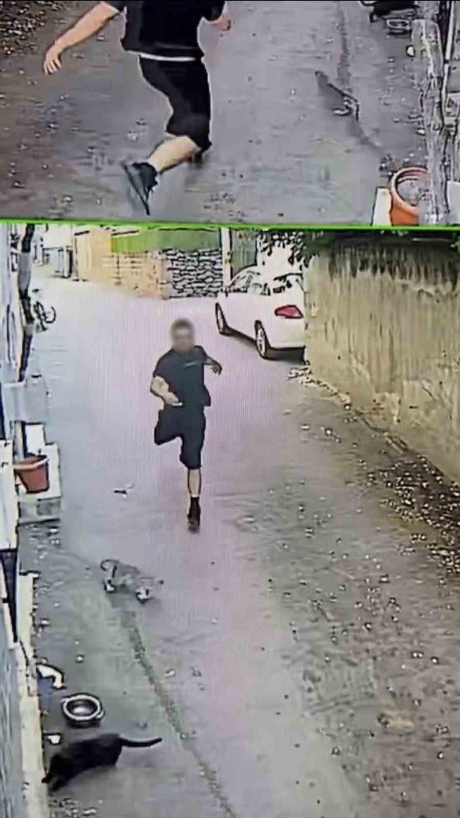 Telefonu çaldı, tazı gibi koştu: O anlar kamerada 5 telefonu caldi tazi gibi kostu o anlar kamerada 1 5eiBIc34