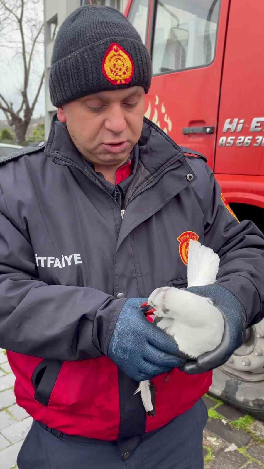 tellerde mahsur kalan martiyi itfaiye ekipleri kurtardi 2 951QcGlT