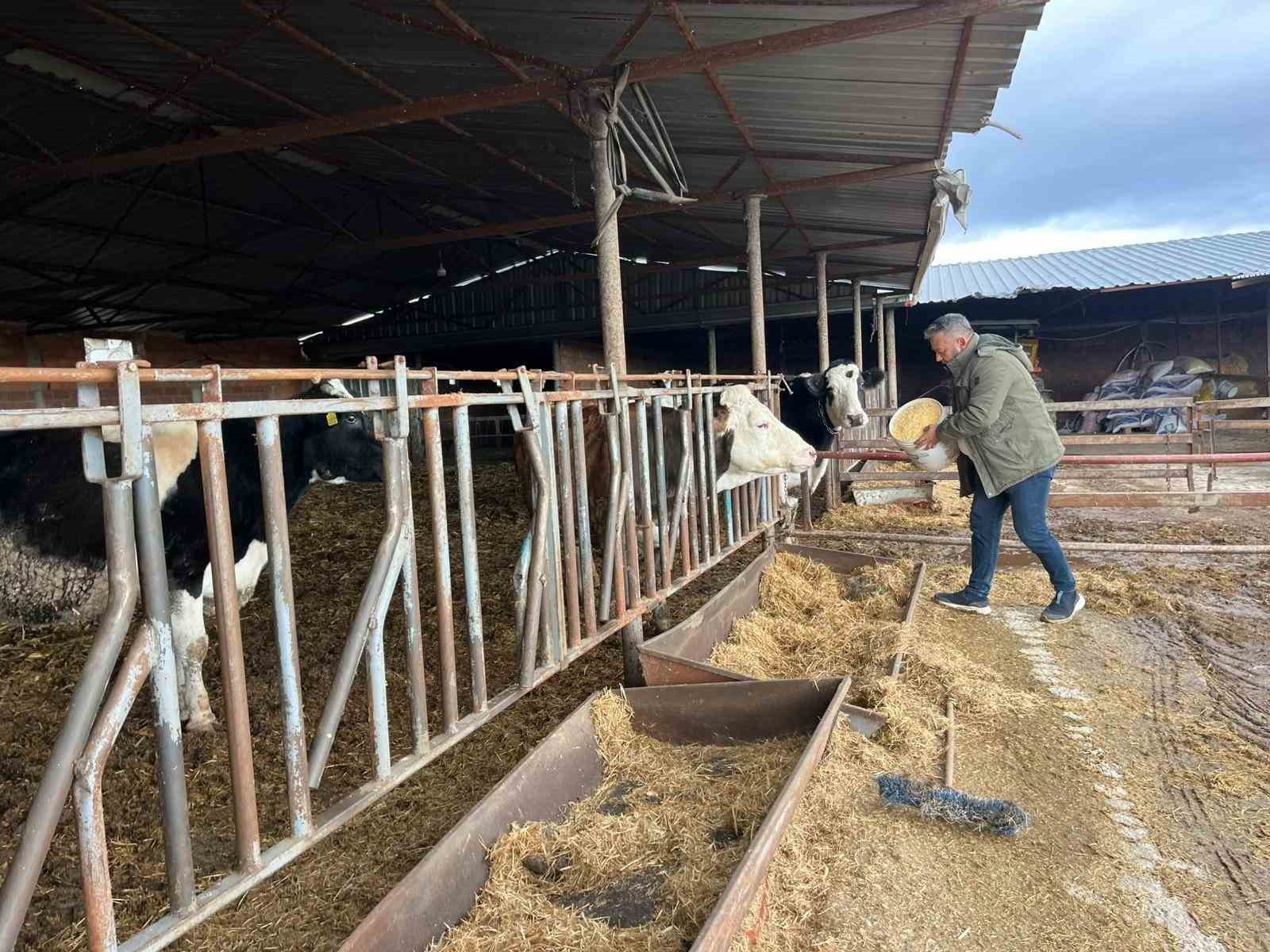 tepebasi belediyesinden borcunu odeyen ciftciye 11 ay sonra haciz iddiasi 1 aJShQi3v