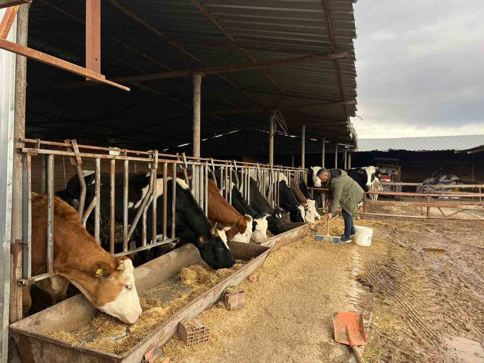 tepebasi belediyesinden borcunu odeyen ciftciye 11 ay sonra haciz iddiasi 4 jLg8wraN