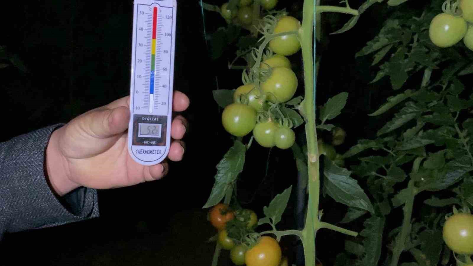 termometreler eksiyi gordu zirai don nobeti basladi 7 dYrwZ1Pb