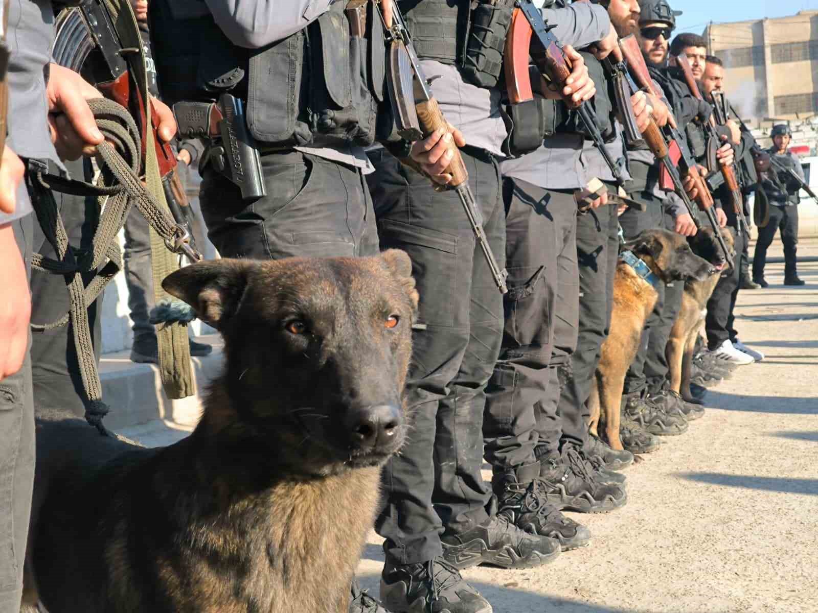terorden temizlenen rakkada ozel egitimli kopeklerle bomba arama calismalari 1 GdOCLsts