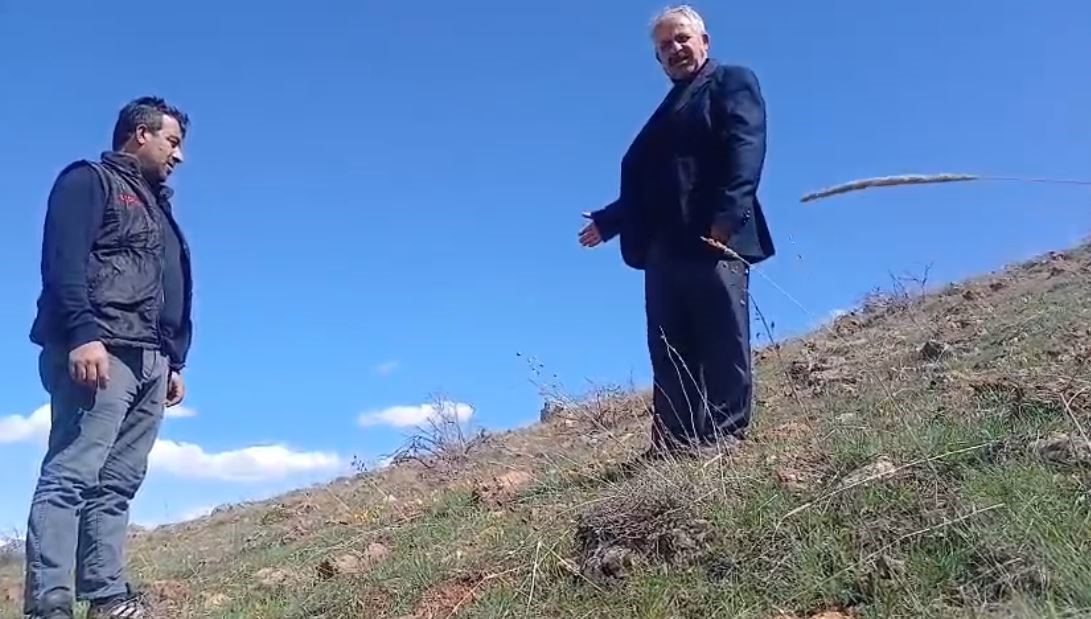 ters laleyi koparmanin cezasi 700 bin tl 0 FMCUGSpT