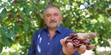 tescilli-tokat-kirazinda-hasat-mesaisi-basladi-i9KMNBLZ.jpg