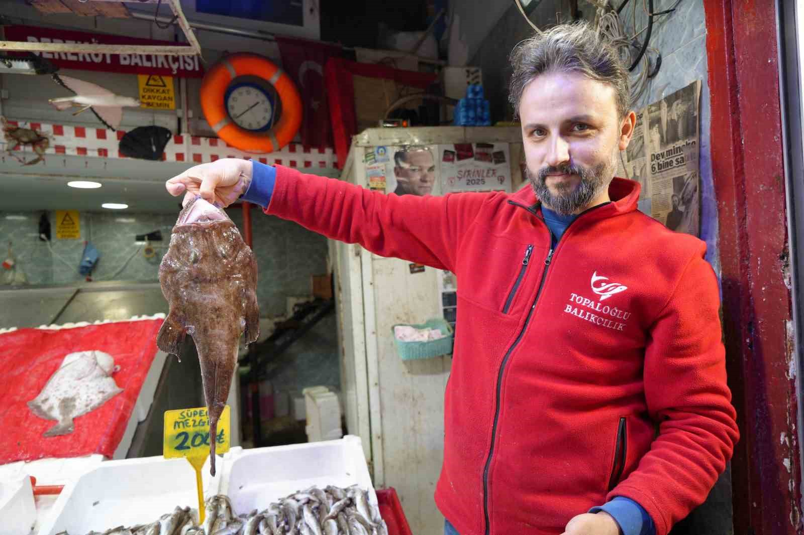 tezgahlarda hamsi bollugu 5