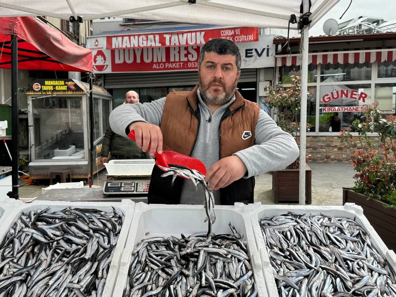 tezgahlarda hamsinin son gunleri kilosu 150 liradan satiliyor 1