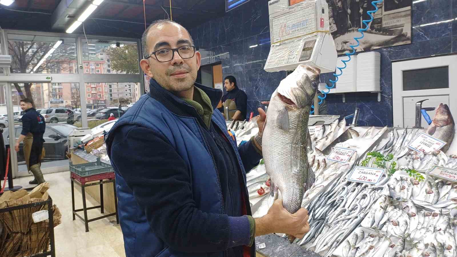 tezgahlarda palamut yok hamsi cok 0 YZLMcAaW