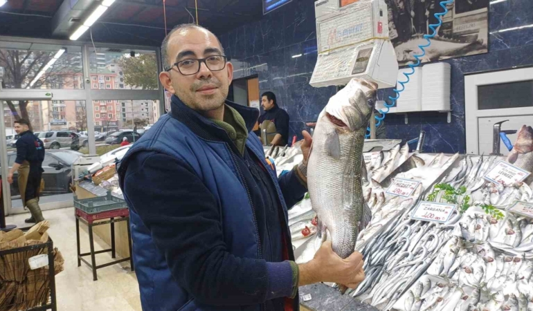 tezgahlarda-palamut-yok-hamsi-cok-UYmTIxSp.jpg