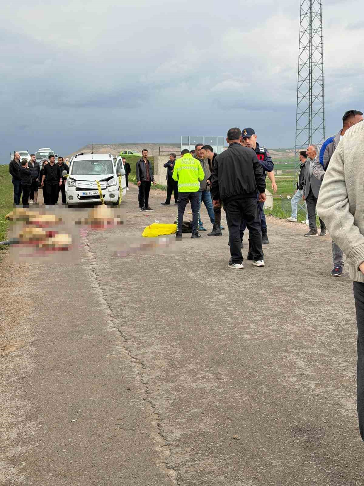 ticari arac koyun surusune daldi coban oldu 9 koyun telef oldu 1 LhFDMU26