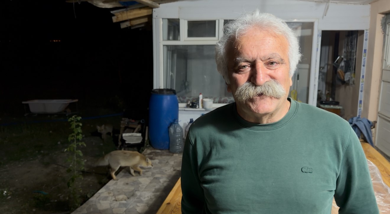 tilki ailesi her aksam yemek icin bag evine geliyor 4 FDIFIb4f