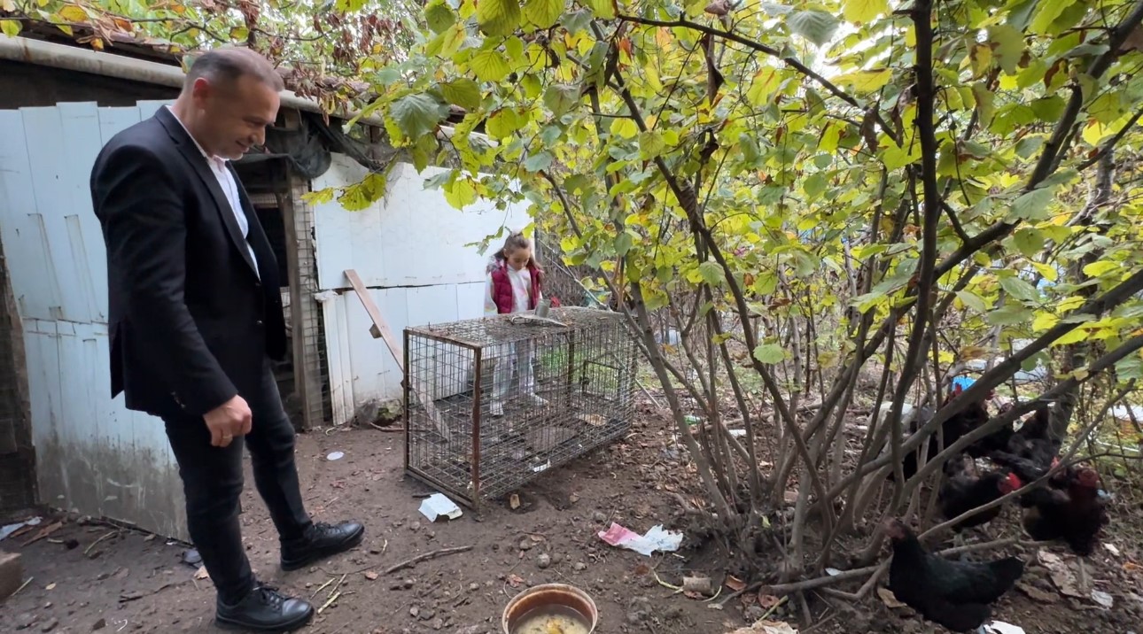 Tilkiye olan merhametiyle yürekleri ısıtan küçük İpek: "Empati yaptım, onu kendi yerime koydum" 6 tilkiye olan merhametiyle yurekleri isitan kucuk ipek empati yaptim onu kendi yerime koydum 2 H9XXJe7B