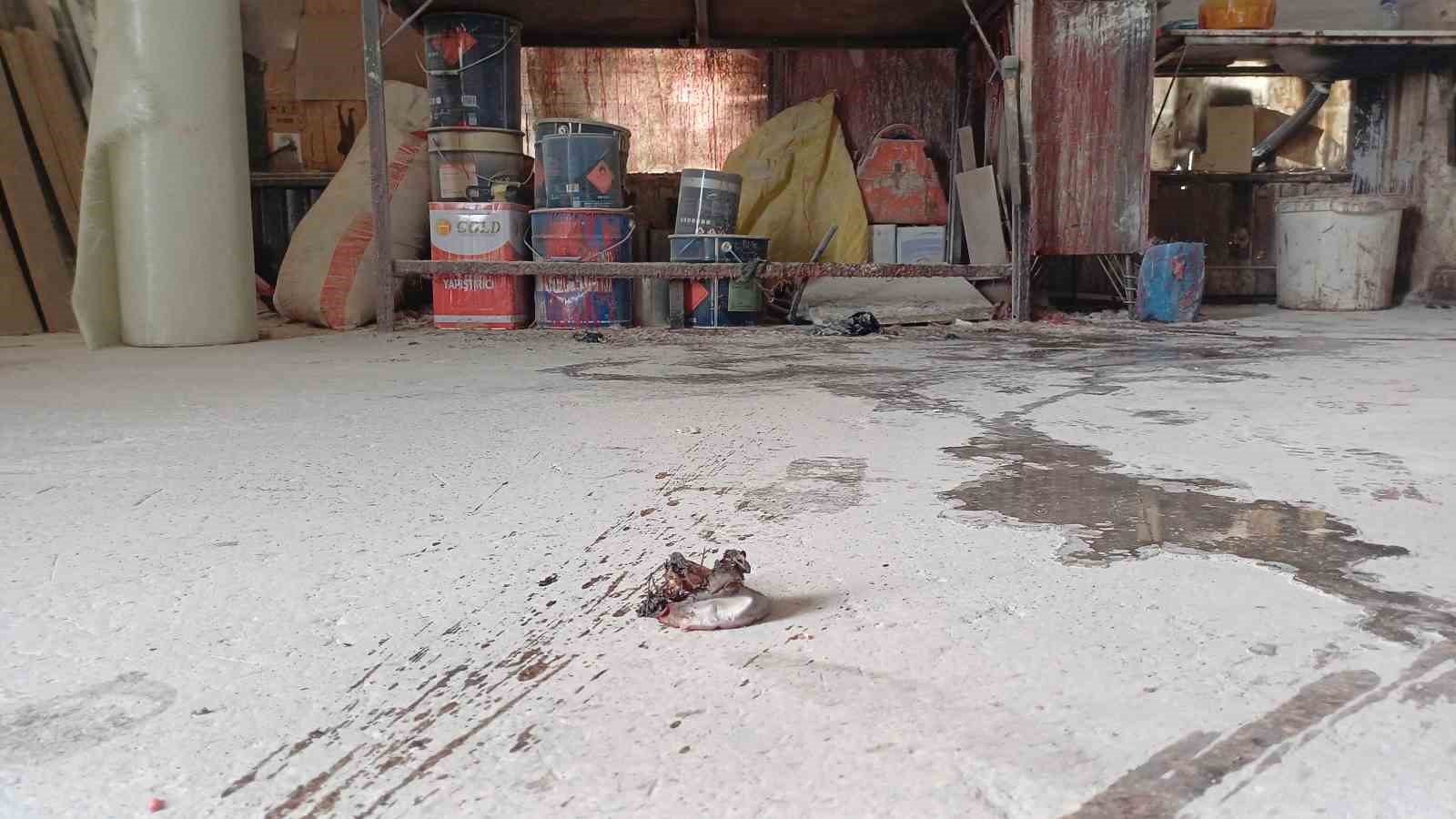 tinerle sobayi yakarken kendini yakti 3 uAwzh1bL