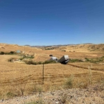 tir-bariyer-ve-bugday-tarlasini-asip-sulama-kanalina-dustu-3-yarali-xRTZXKWJ.jpg