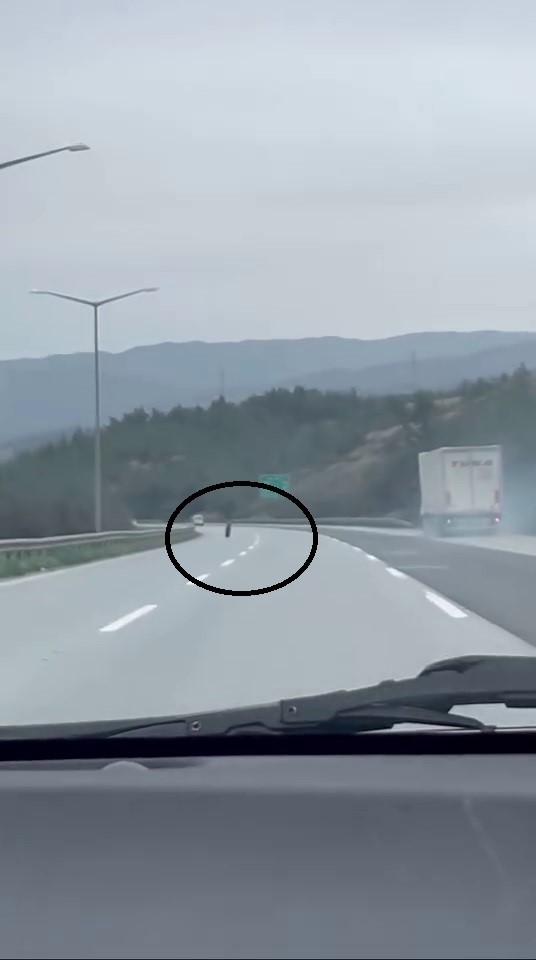 tirdan firlayan lastik otobanda yuzlerce metre ilerledi 0 p5wpPFZG