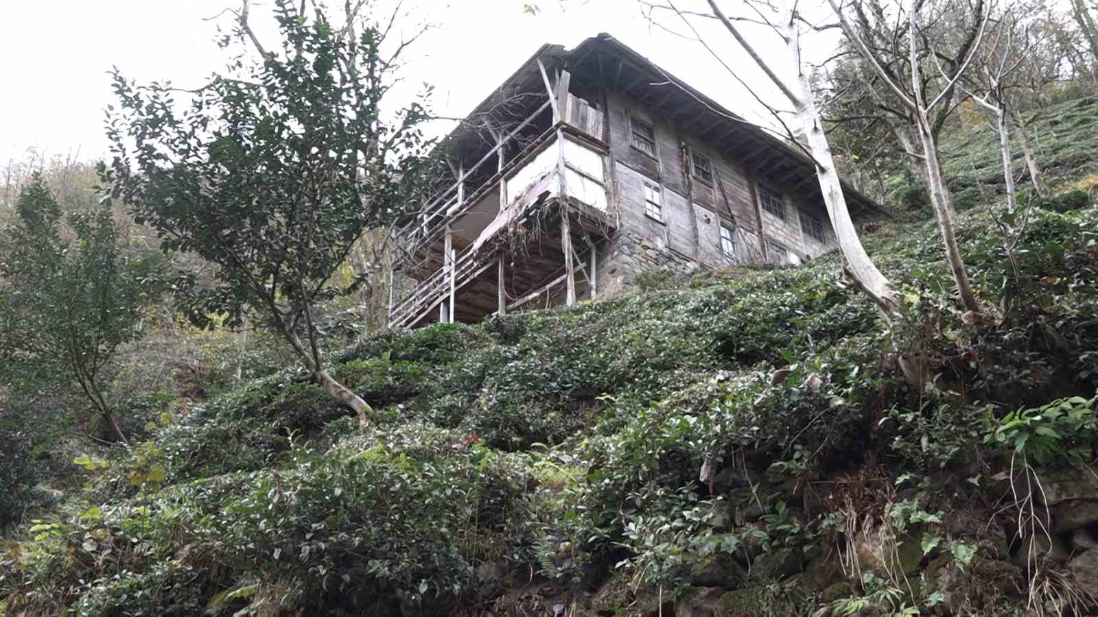 tirmandigi balkonda kovanlardaki bali yiyen ayi kameralara yakalandi 7 zMrXaJ1G