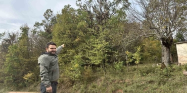 tirmandiklari-agacta-mese-palamudu-yiyen-ayilar-kamerada-2KgFacDz.jpg