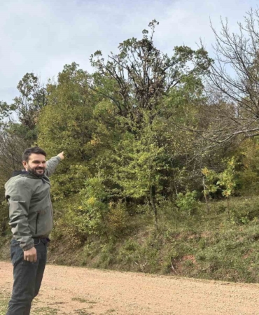 tirmandiklari-agacta-mese-palamudu-yiyen-ayilar-kamerada-2KgFacDz.jpg
