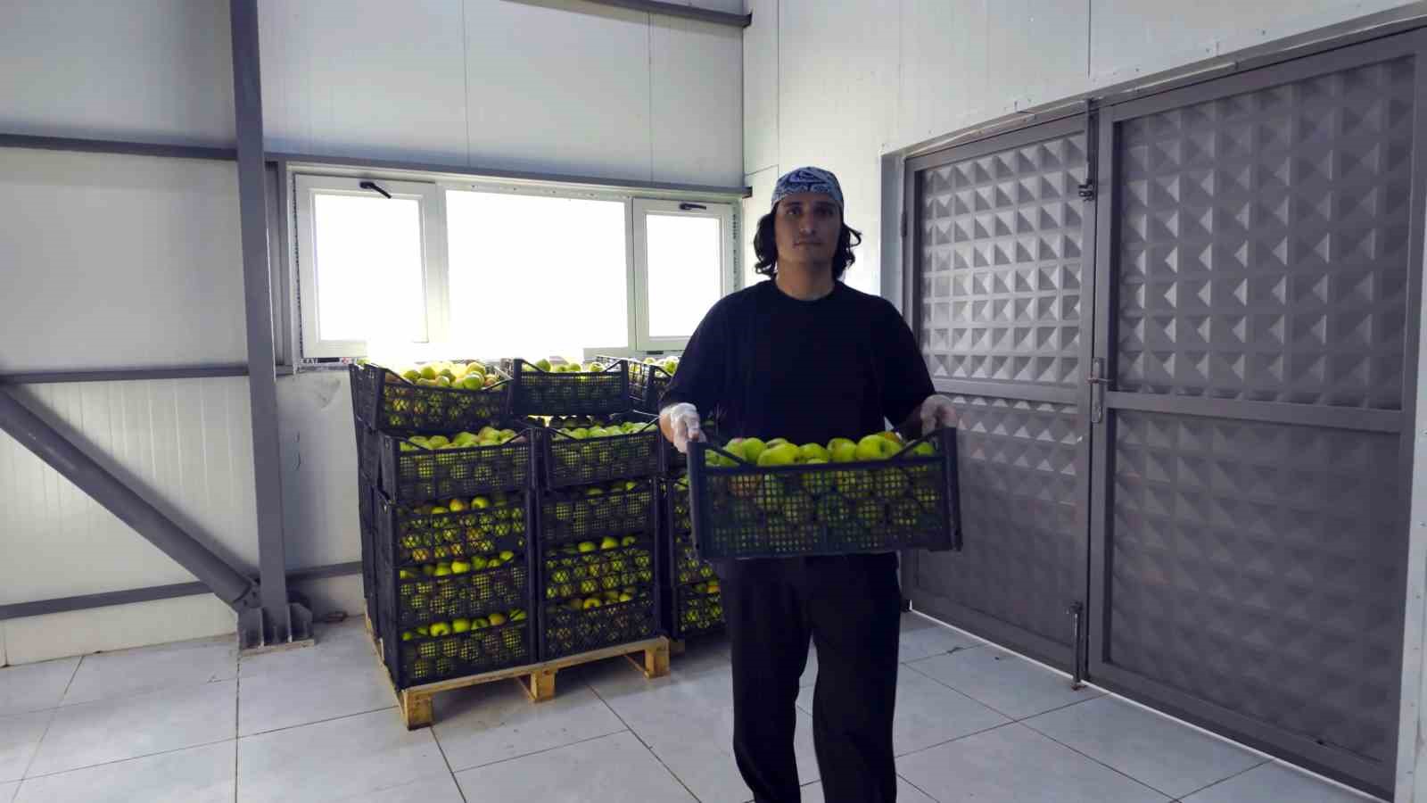 togu tarim urunleri kurutma tesisi surdurulebilir uretime guc katiyor 2 lWGinf1Z