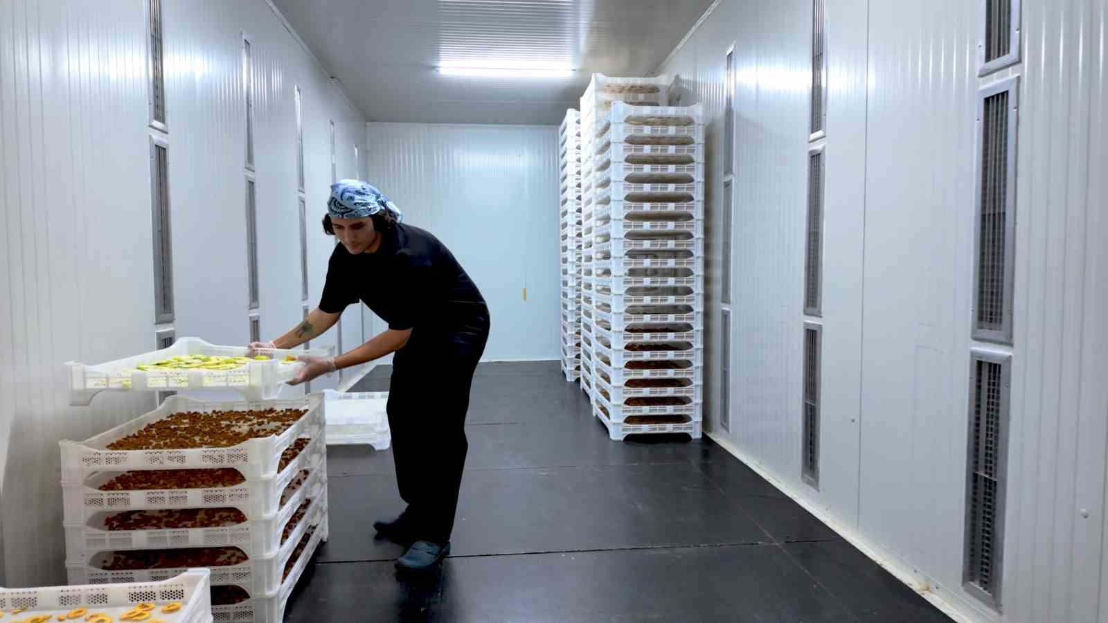 togu tarim urunleri kurutma tesisi surdurulebilir uretime guc katiyor 3 abN73AKO