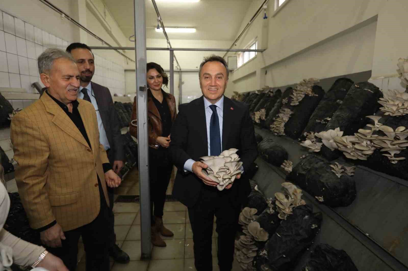 togude uretime dayali egitim modelleri gucleniyor 2