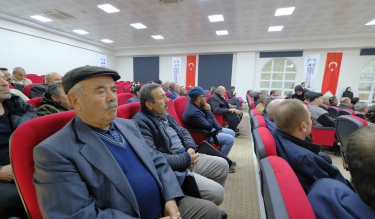 toguden-milli-patates-cesidi-atagi-AOclSEyk.jpg
