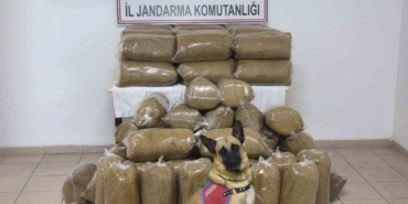 tokatta-340-kilo-kacak-tutun-ele-gecirildi-ixvpjHxu.jpg