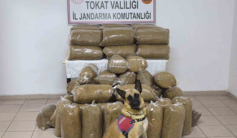 tokatta-340-kilo-kacak-tutun-ele-gecirildi-ixvpjHxu.jpg