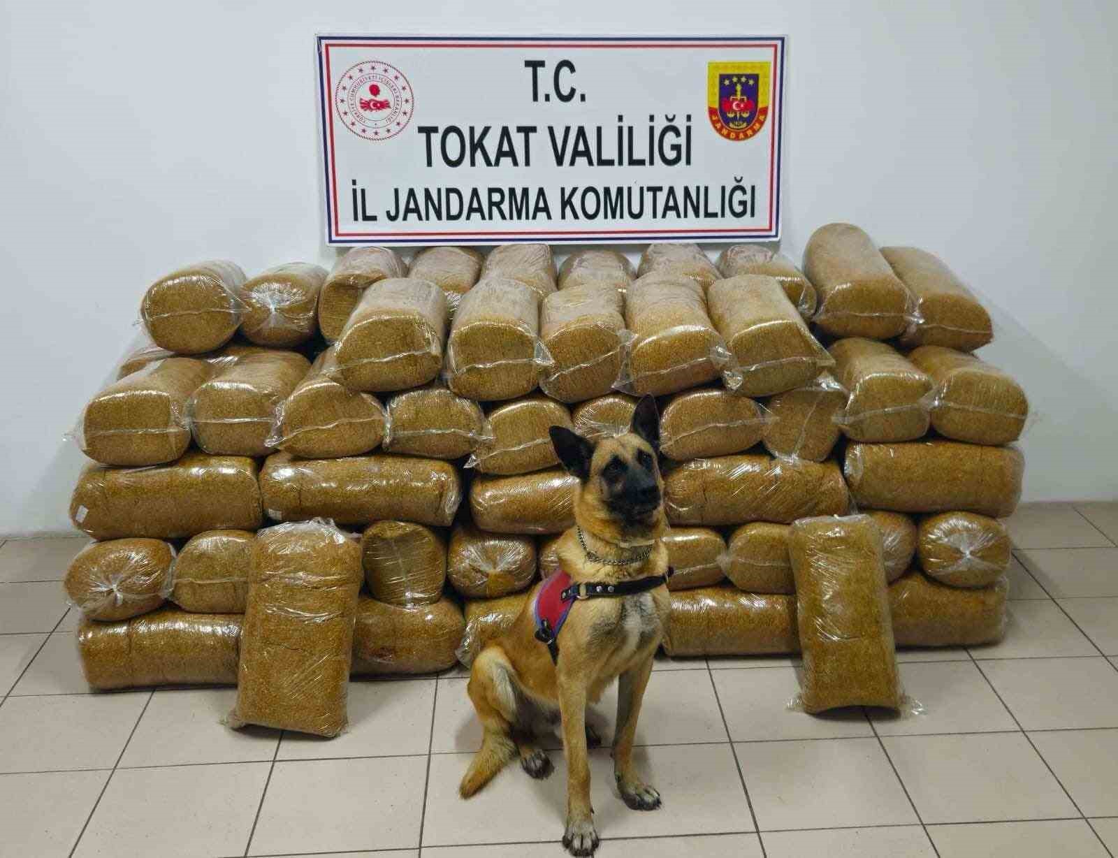 tokatta 485 kilogram kacak tutun ele gecirildi 0 wiHjQLb7