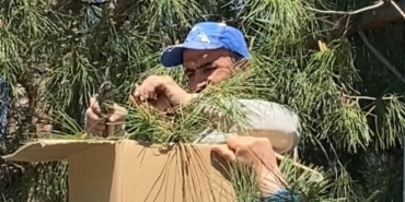 tokatta-agaca-ogul-veren-arilari-ekipmansiz-topladi-R7G1wFMV.jpg