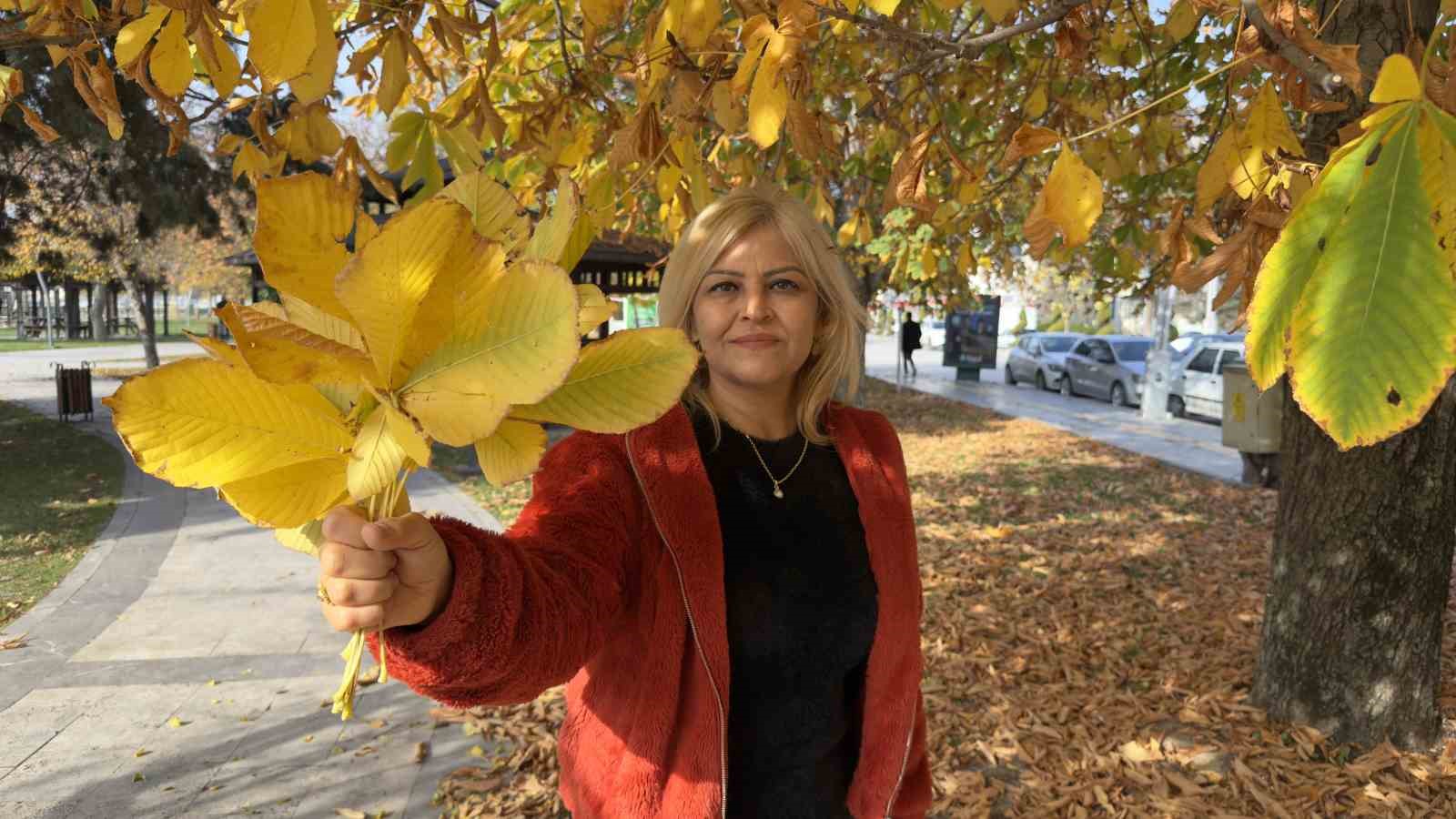 tokatta belediyenin yapraklari temizlemedigi parklarda renk cumbusu olustu 1 usiRN1yW
