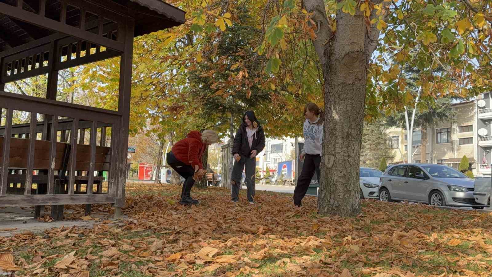 tokatta belediyenin yapraklari temizlemedigi parklarda renk cumbusu olustu 3 Zdsi3YMY