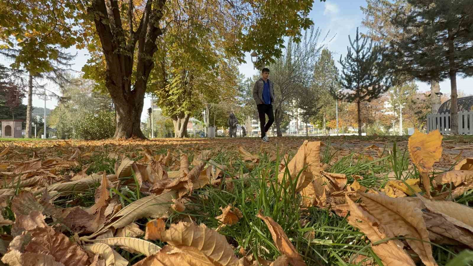 tokatta belediyenin yapraklari temizlemedigi parklarda renk cumbusu olustu 4 Kr36ZFL9
