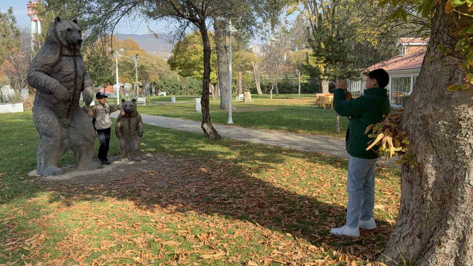 tokatta belediyenin yapraklari temizlemedigi parklarda renk cumbusu olustu 7 9ci35mz3