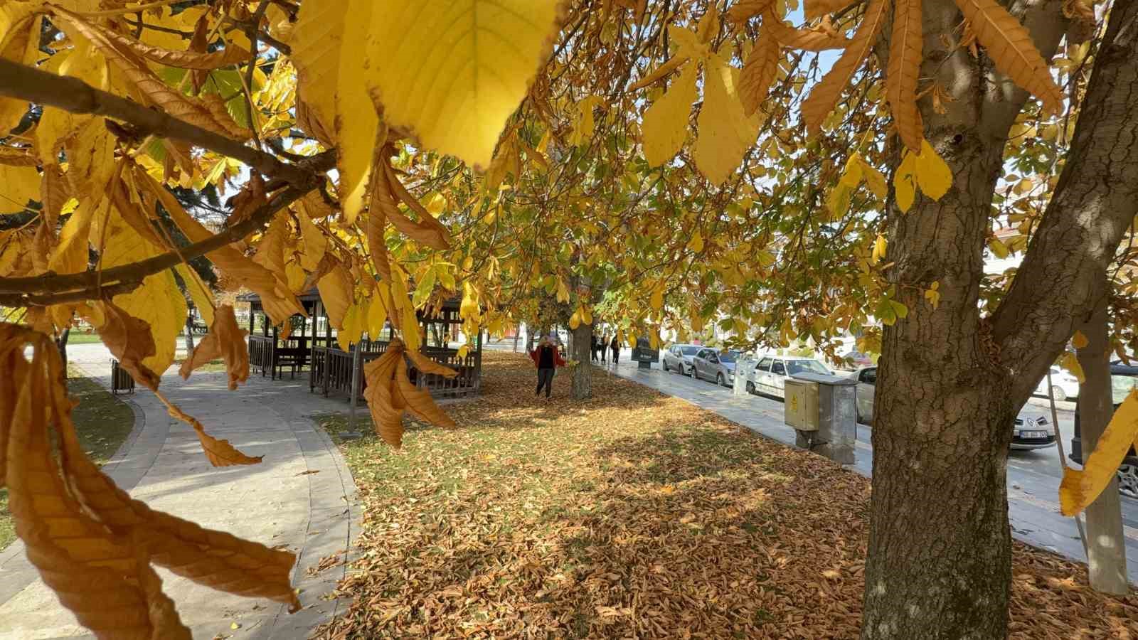 tokatta belediyenin yapraklari temizlemedigi parklarda renk cumbusu olustu 8 9IBqEuG1