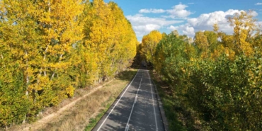 tokatta-belediyenin-yapraklari-temizlemedigi-parklarda-renk-cumbusu-olustu-Gpx4Zm4w.jpg