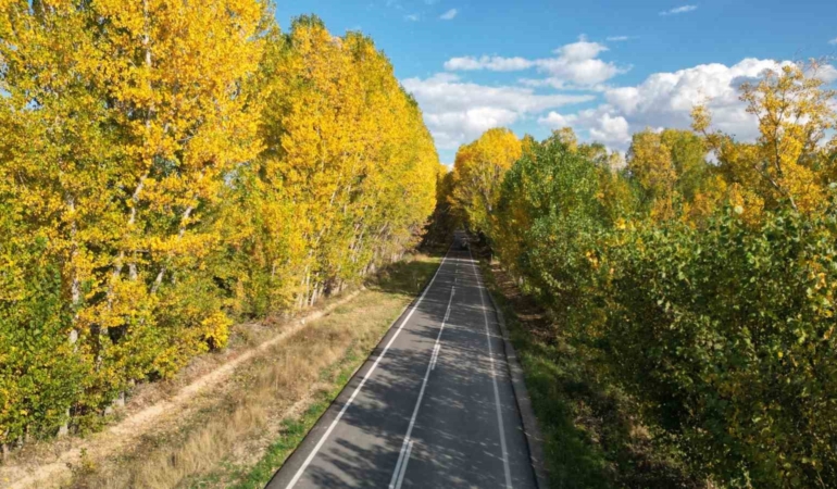 tokatta-belediyenin-yapraklari-temizlemedigi-parklarda-renk-cumbusu-olustu-Gpx4Zm4w.jpg