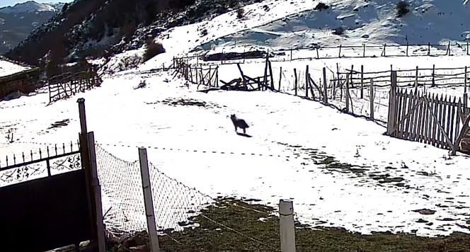tokatta belgeselleri aratmayan koy 2 qjeXfmry