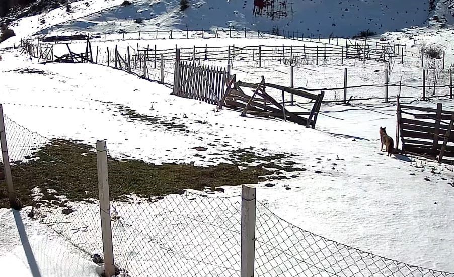 tokatta belgeselleri aratmayan koy 3 HMg5uIIT
