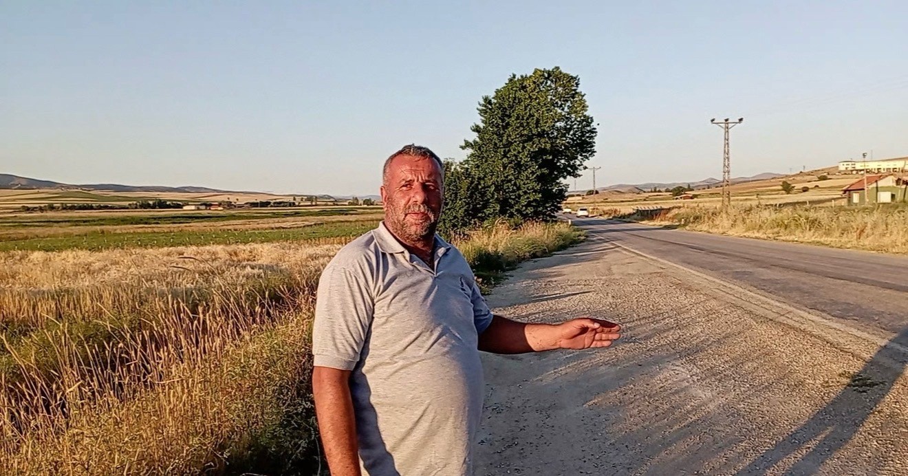 Tokat’ta binlerce kurbağa kara yolunu istila etti 6 tokatta binlerce kurbaga kara yolunu istila etti 2