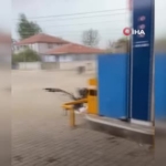 tokatta-firtina-ve-saganak-hayati-olumsuz-etkiledi-YCiGTgGy.jpg